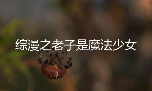 综漫之老子是魔法少女