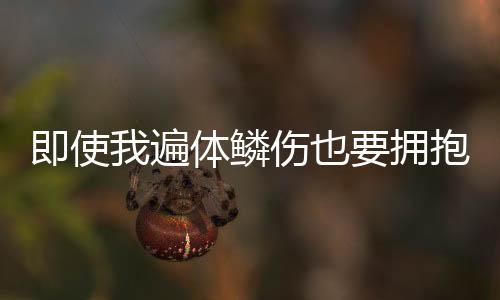 即使我遍体鳞伤也要拥抱你