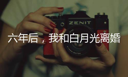六年后，我和白月光离婚了？！