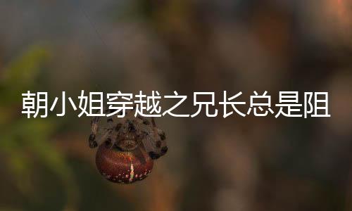 《夫人每天都在线打脸》全文在线阅读