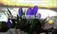 桃花劫：你的桃花