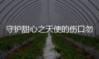 守护甜心之天使的