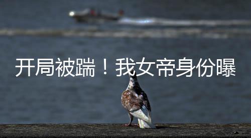 《全网黑后我在军旅综艺杀疯了》全文在线阅读