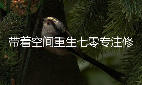 带着空间重生七零专注修真致富