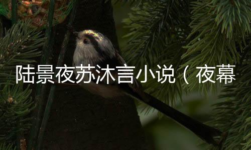 《别闹，薄先生！》全文在线阅读
