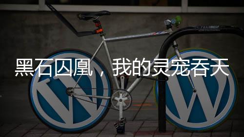 黑石囚凰，我的灵宠吞天噬地